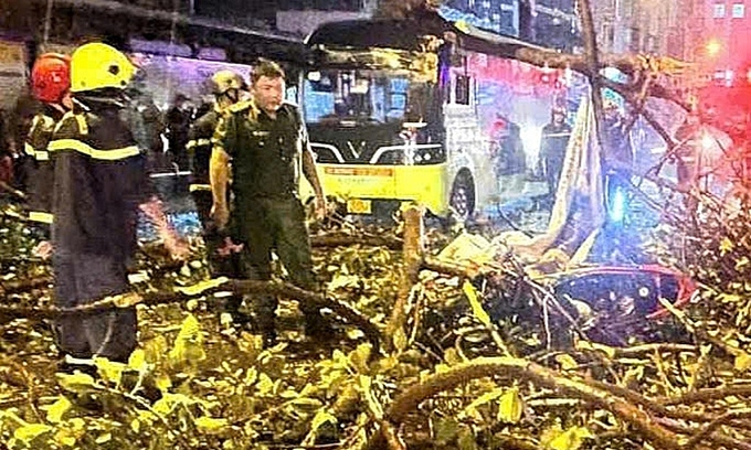Ho Chi Minh City man dies as falling tree branch crushes motorbike