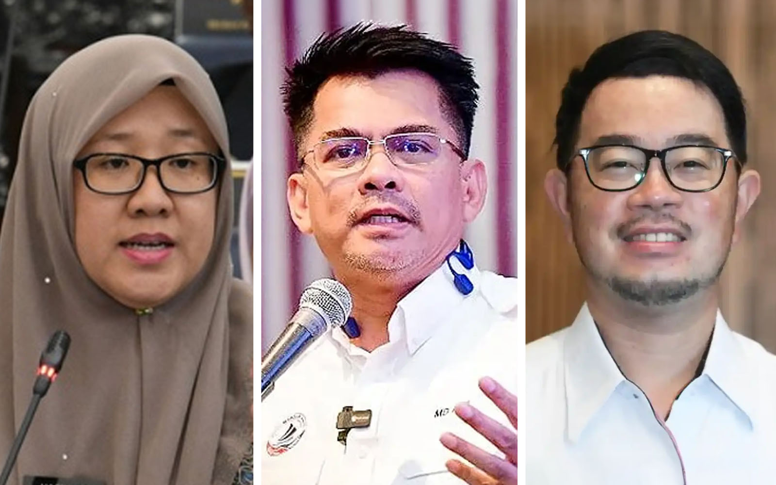 Warisan lantik dua naib presiden baru, Junz Wong dipilih semula