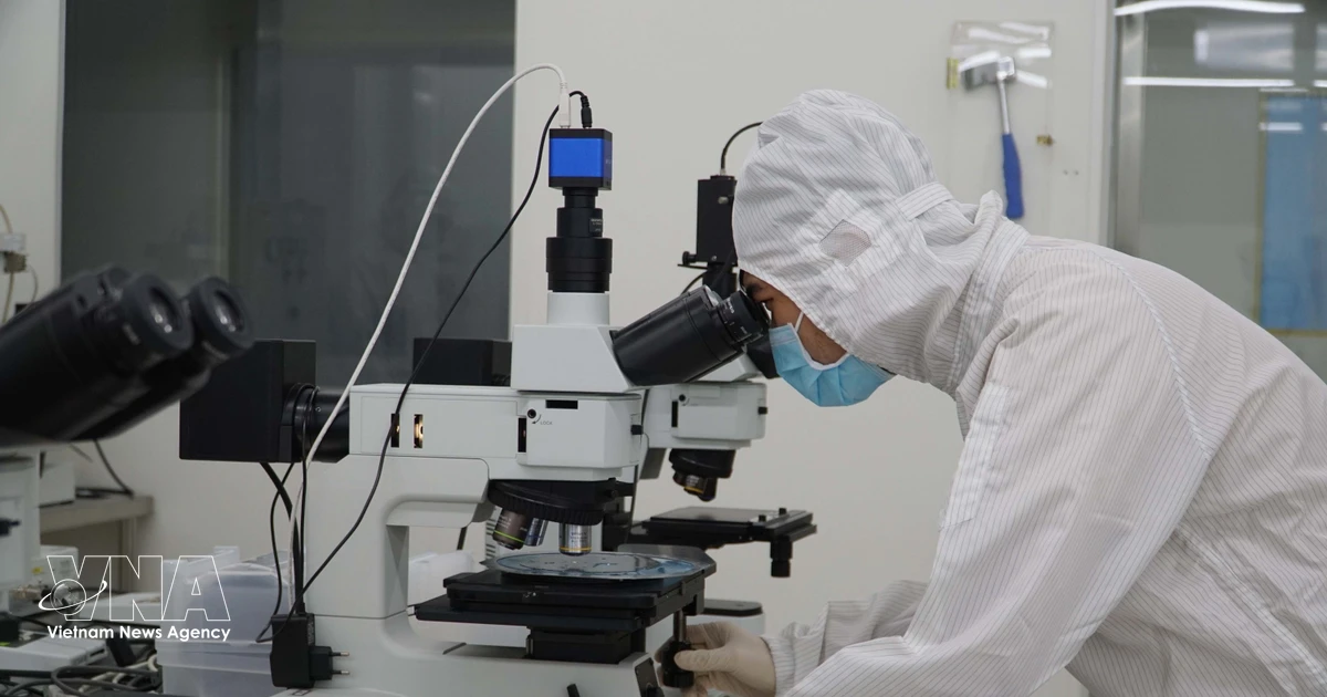 Vietnam positions talent strategy as cornerstone of next growth phase
