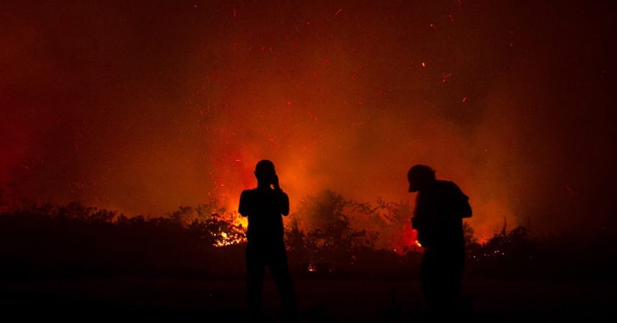 Kebakaran hutan Sumatra memusnahkan ratusan rumah, paksa penduduk mengungsi