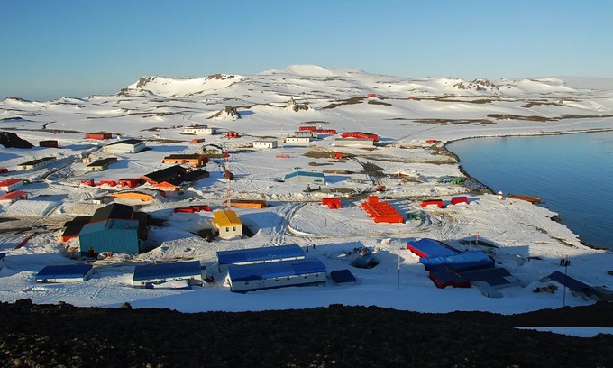 Antarctic settlement mandates appendix removal for permanent residents