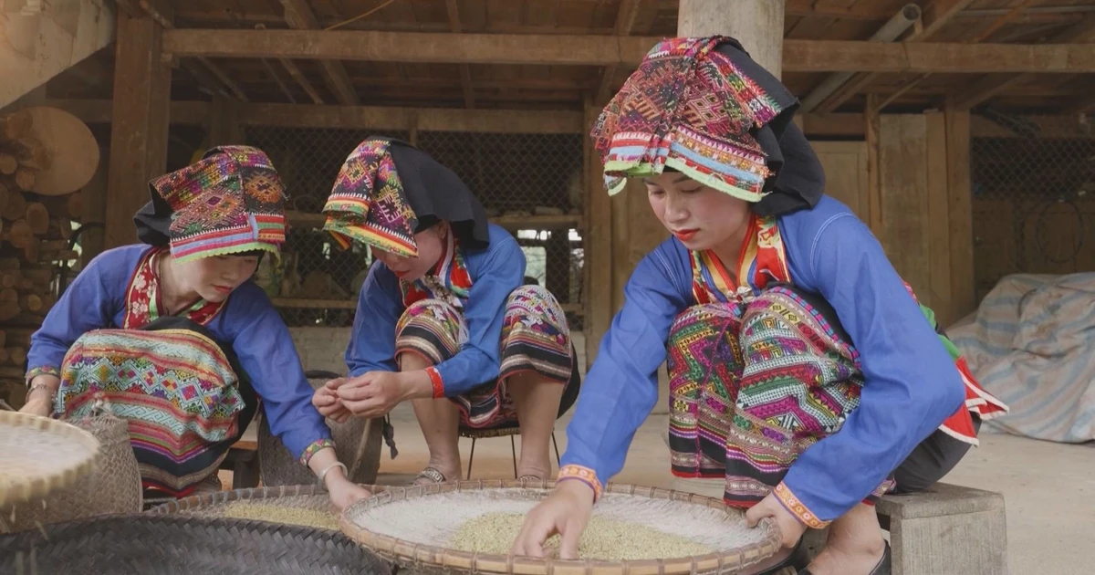 Ethnic Lao in Vietnam's Dien Bien mark traditional rice harvest festival
