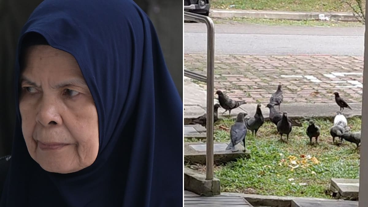Elderly woman penalised for persistent pigeon feeding in public space