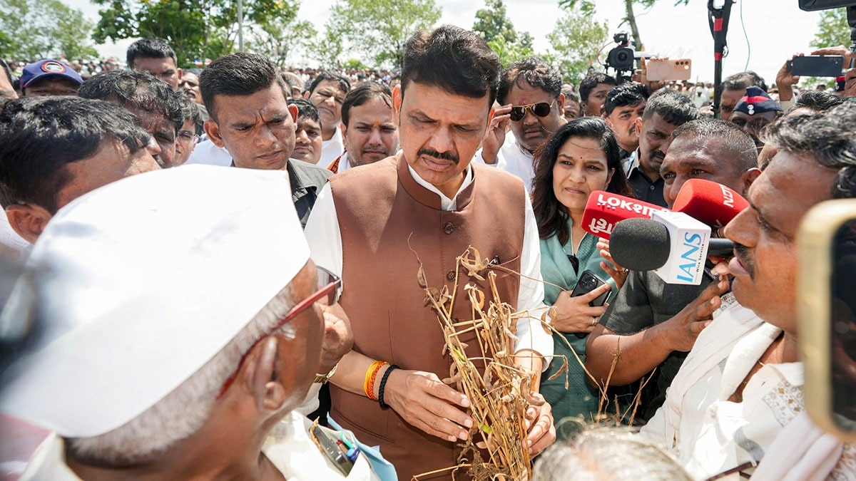 Maharashtra's Drought Deepens Dairy Crisis as Water Scarcity Hits Production