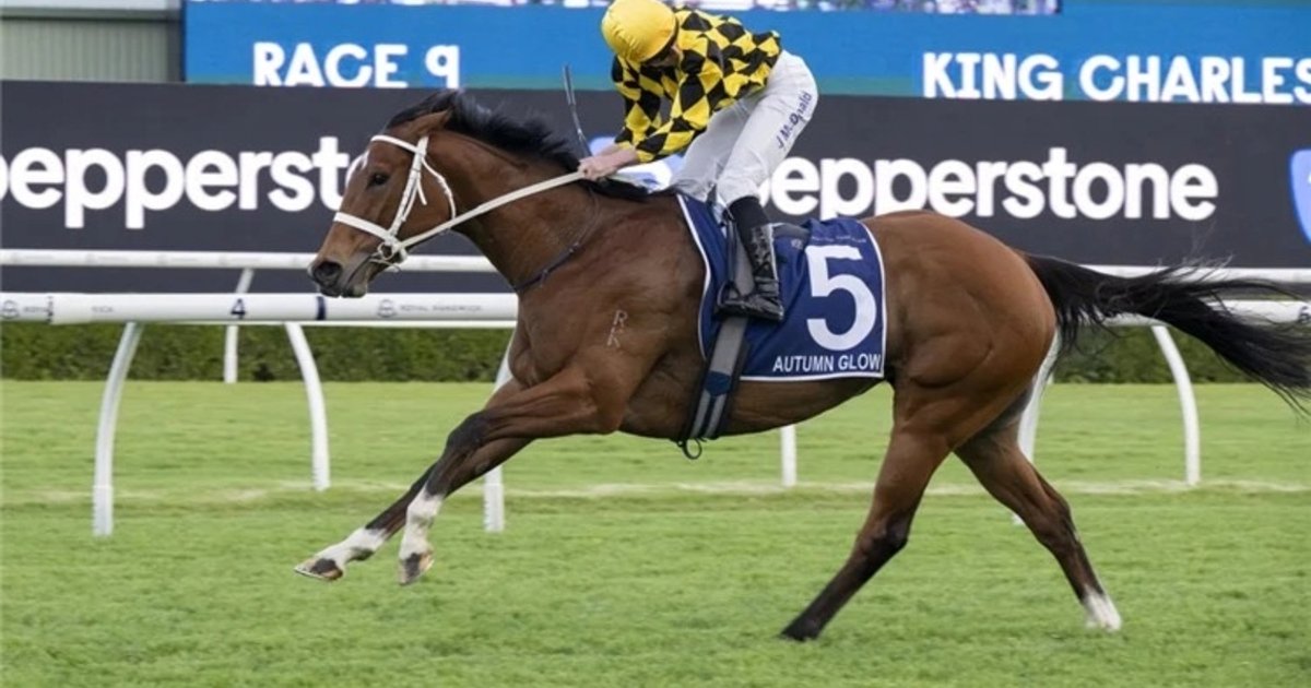 Autumn Glow Claims Victory in King Charles III Stakes