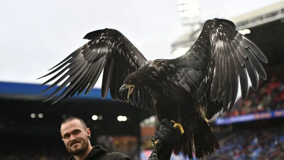 Animal rights group calls for Crystal Palace to retire live eagle mascot