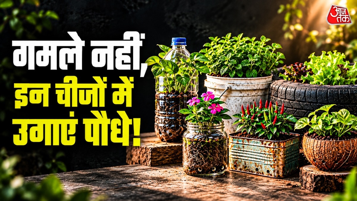 घरेलू सामग्री से बागवानी: महंगे गमलों का विकल्प खोजें