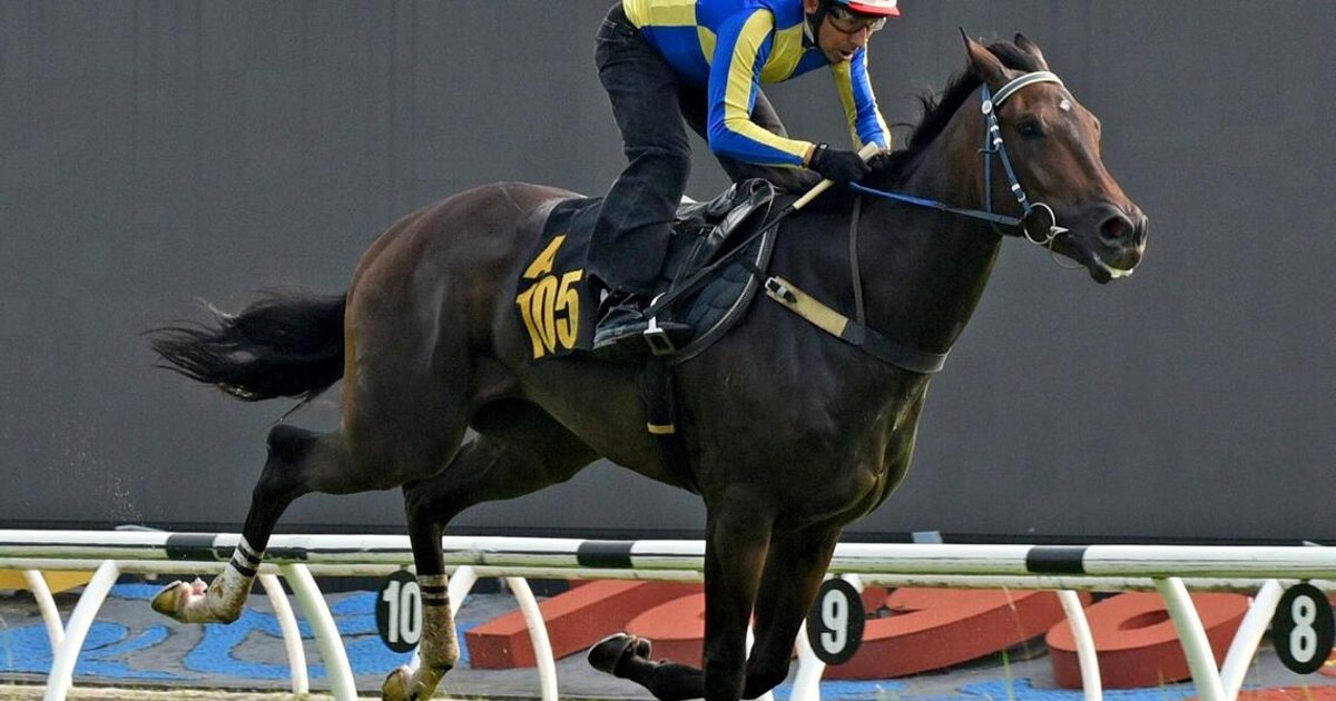 Fast Famous prepares for market debut with strong fundamentals