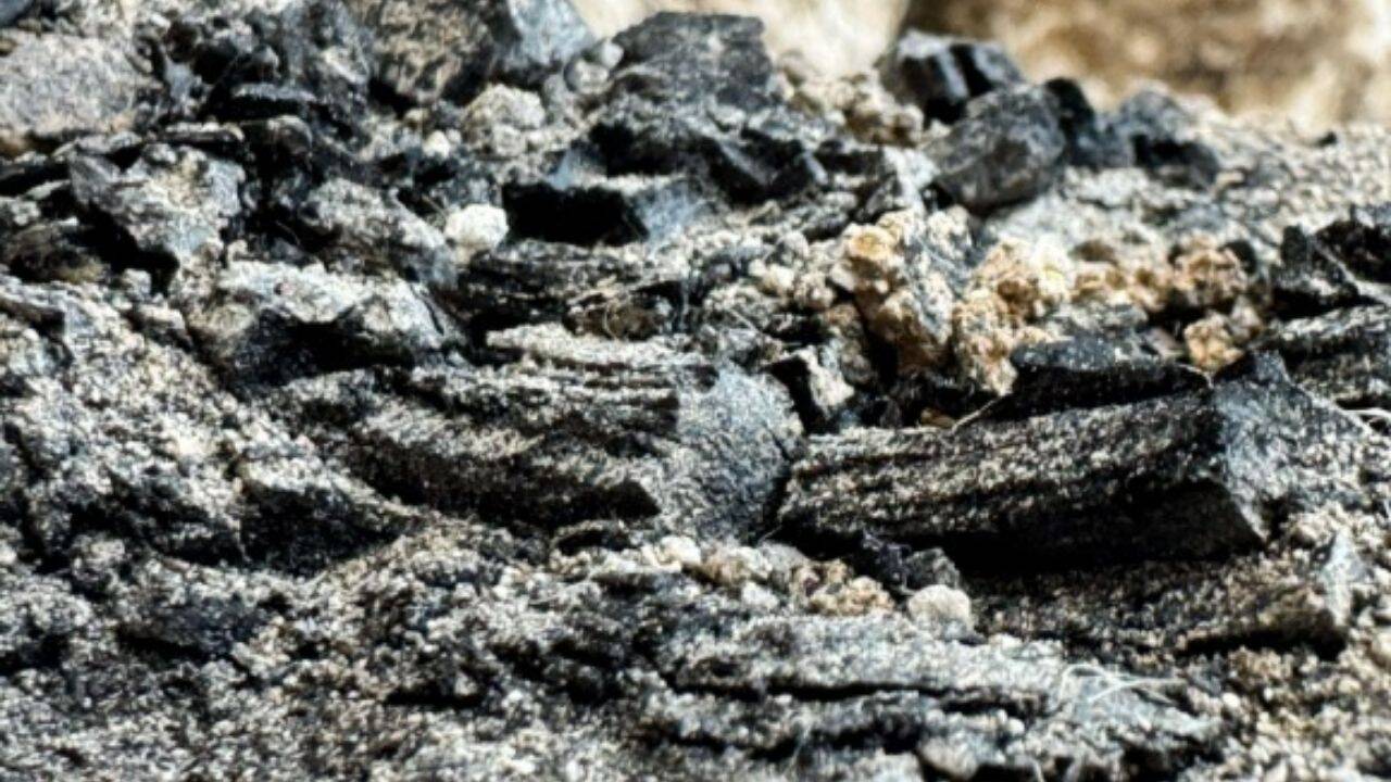 Wooden beams from ancient Jerusalem temple destruction discovered by archaeologists