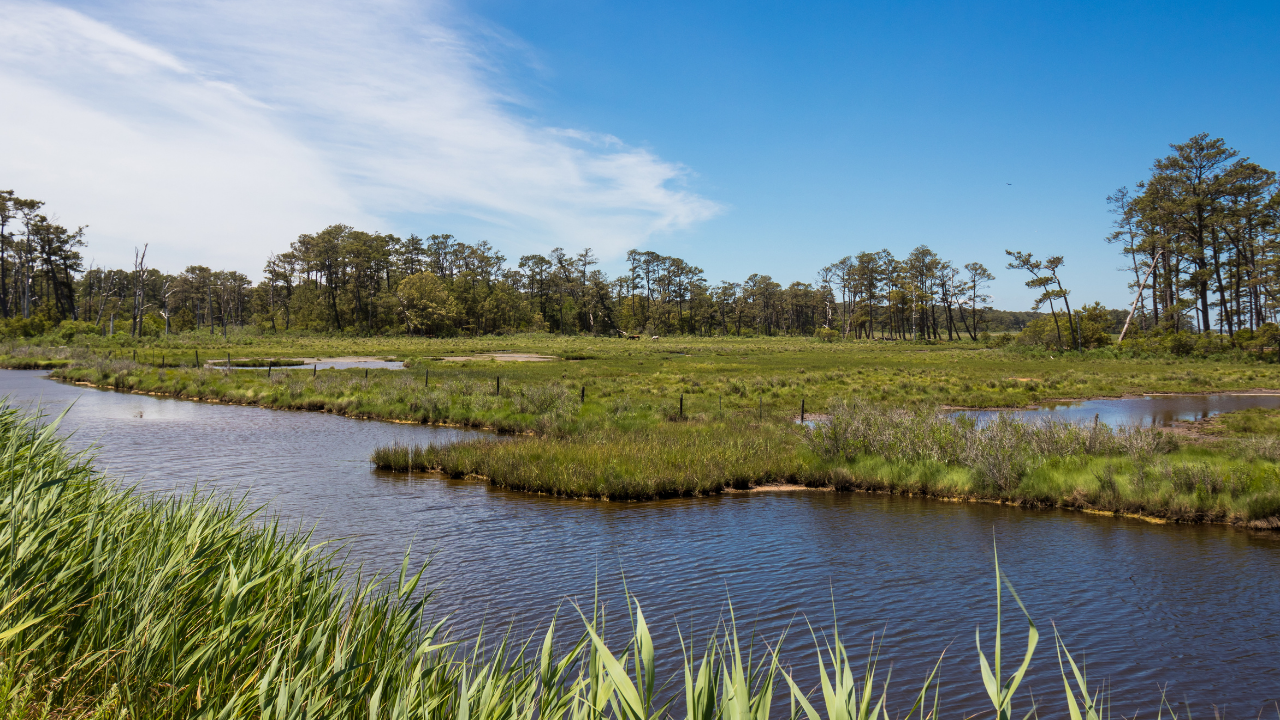 US wildlife refuge relocates beach facilities after storm damage