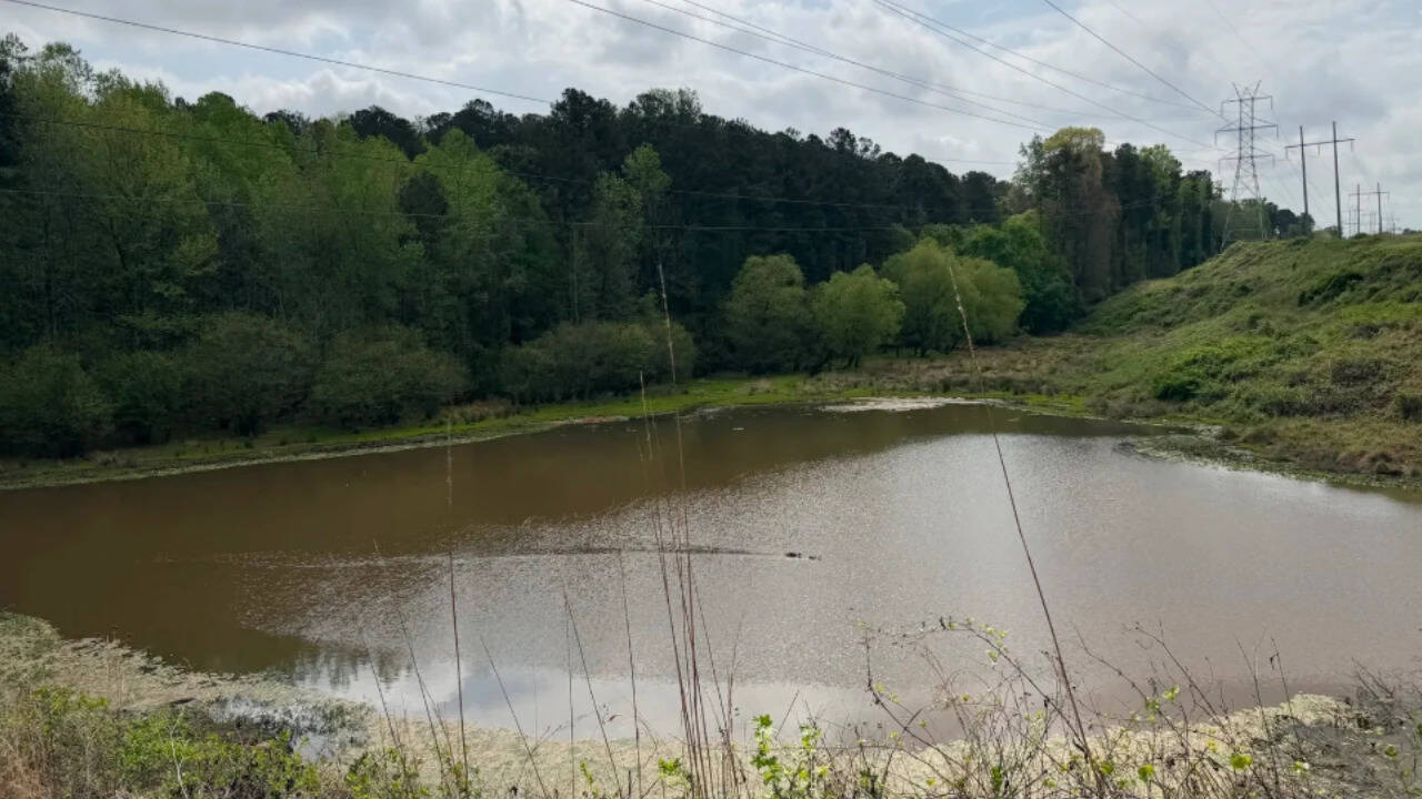 Atlanta to unlock 26-acre forest with $3 million park development plan