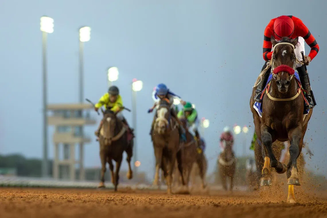 Alnishaar emerges as strong contender in final race at Taif