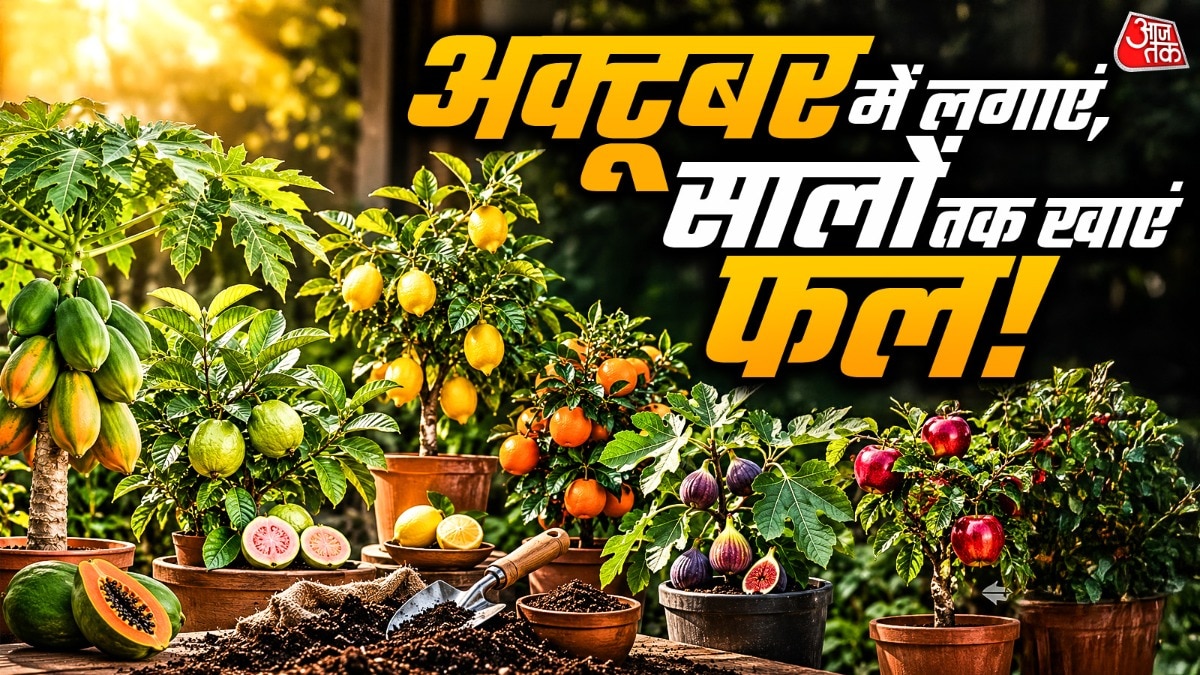 October ideal for home fruit gardening, experts suggest five varieties