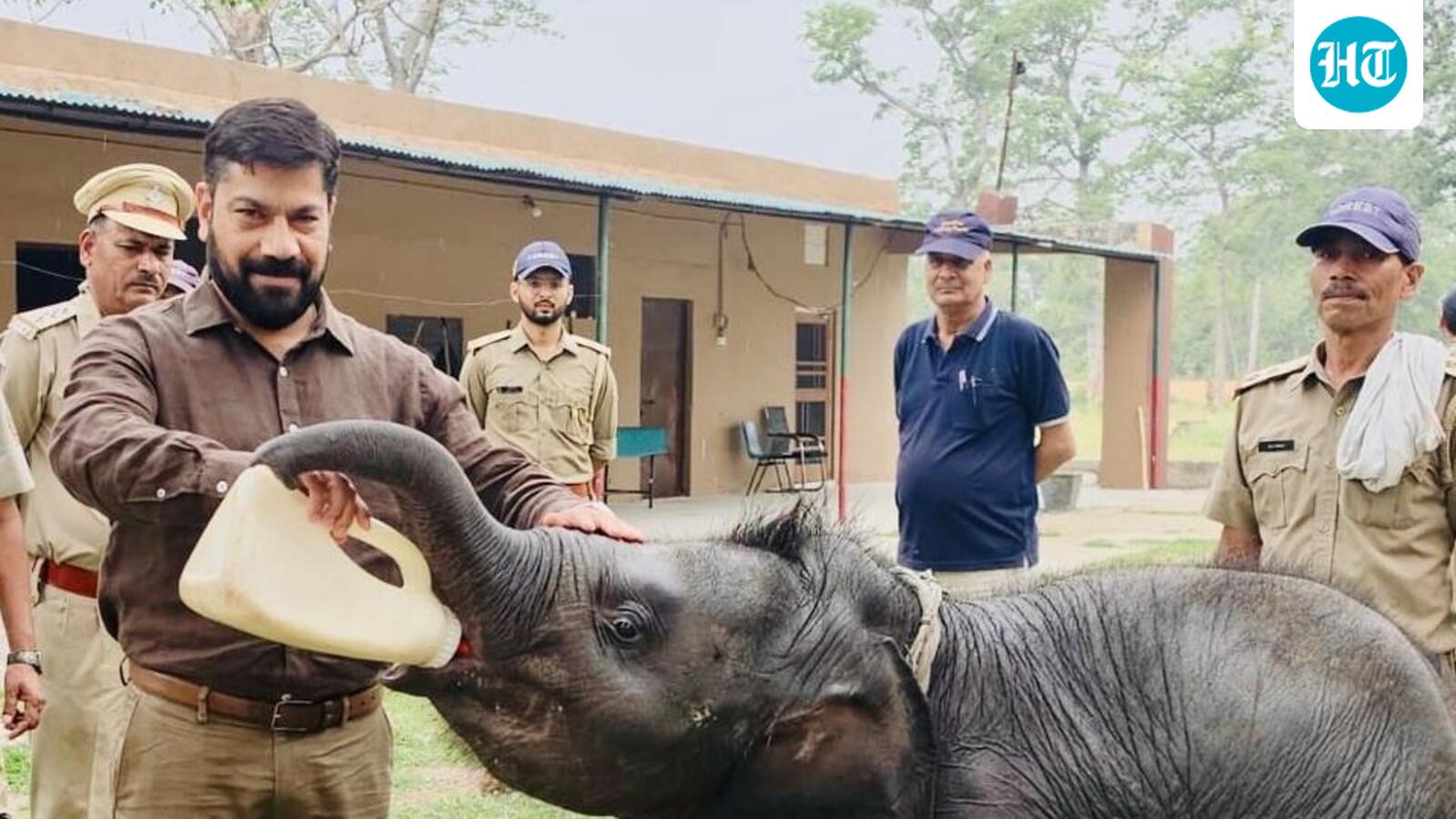 Senior IFS Officer at Jim Corbett Seeks Voluntary Retirement