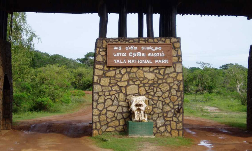 Yala National Park closes two zones to ease animal heat stress