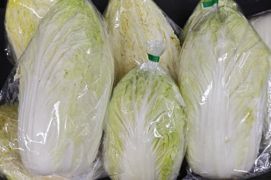Singapore food authority clears imported Chinese vegetables of formalin contamination