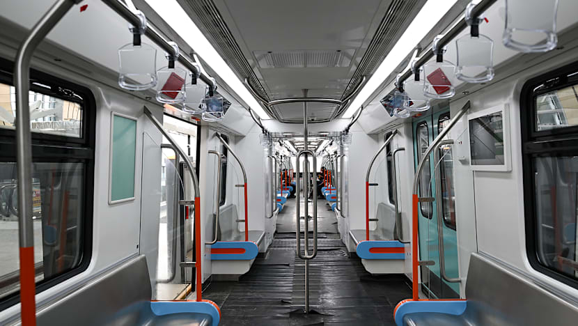 Singapore, Malaysia conduct joint emergency drill on future RTS Link train