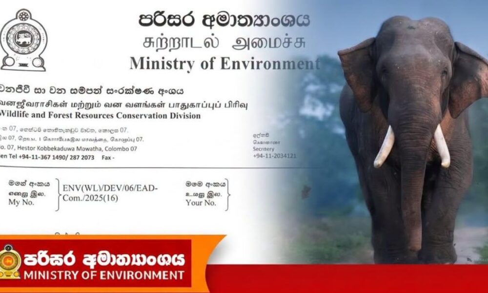 Military deploys search team for missing elephant Agbo