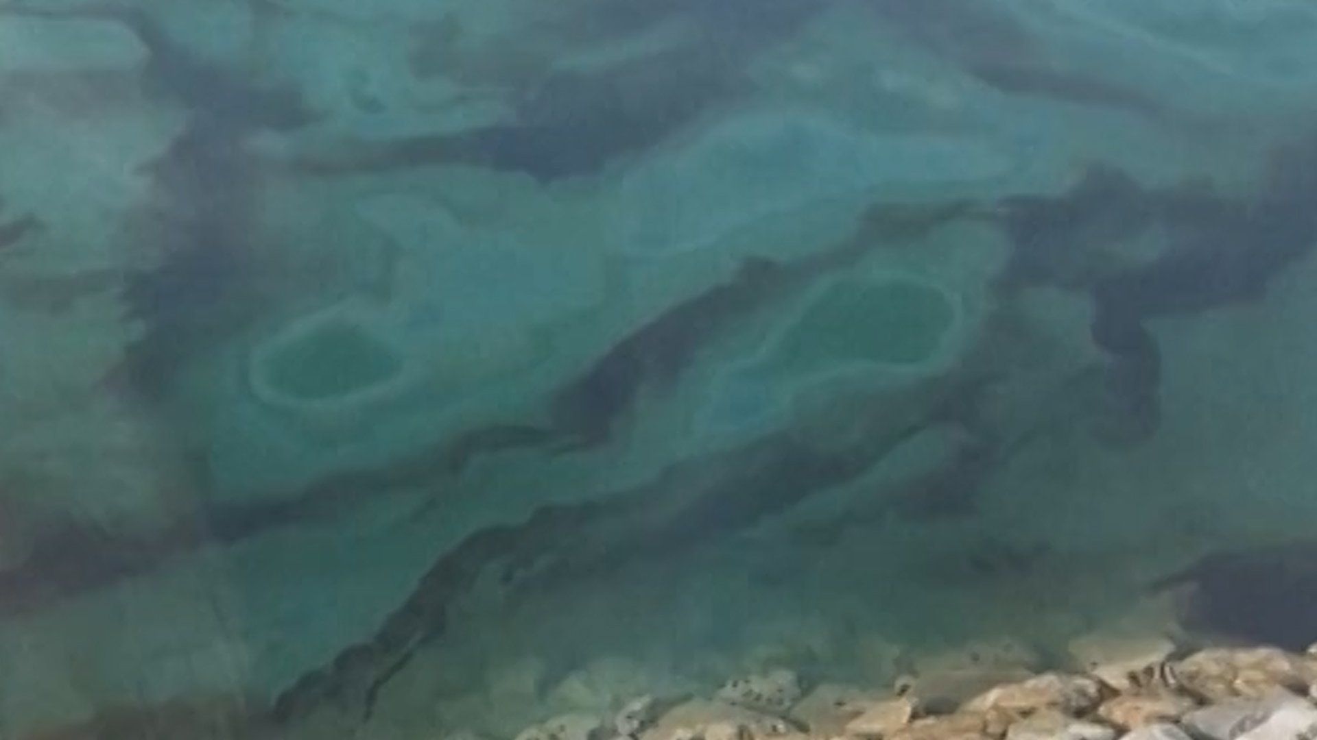 Oil spill from damaged tanker forces UAE beach closures