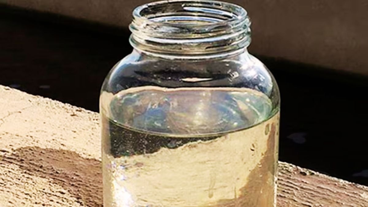 Water quality fails at 90 schools in Haryana's Rewari district