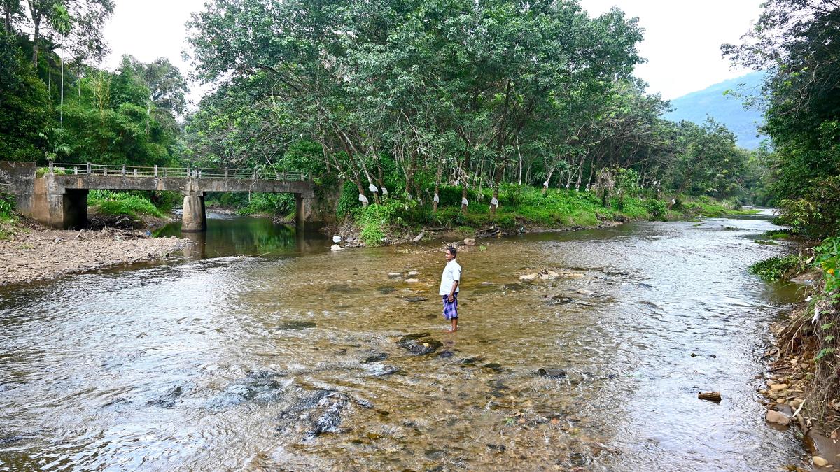 Kerala villages face new restrictions under expanded ecological sensitivity zones