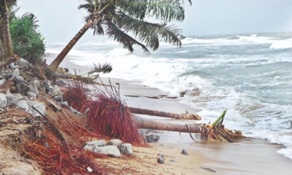 Meteorology Department Issues Amber Alert for Strong Winds, Rough Seas
