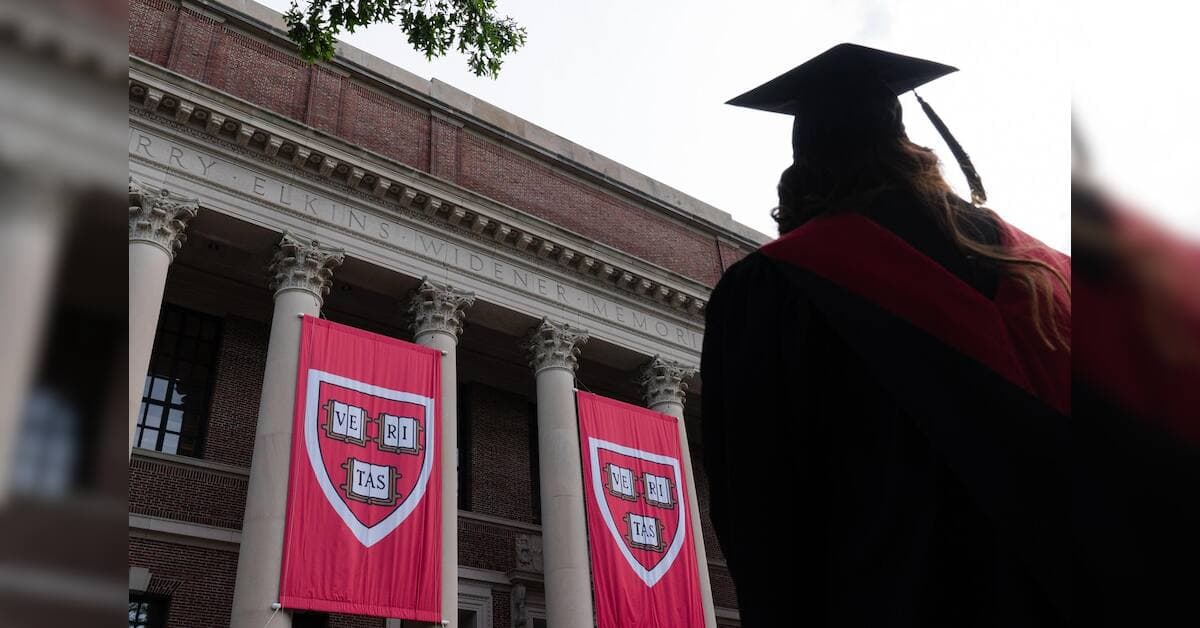 Harvard, MIT under visa fraud investigation as US tightens international talent rules