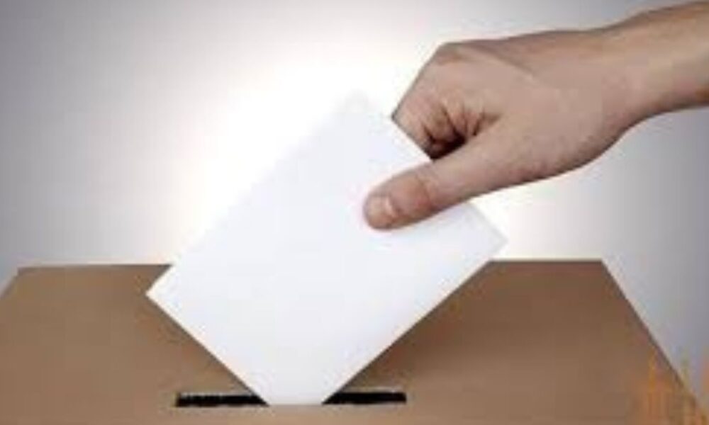 Provincial Council Elections Risk Becoming Obsolete, Warns Political Analyst