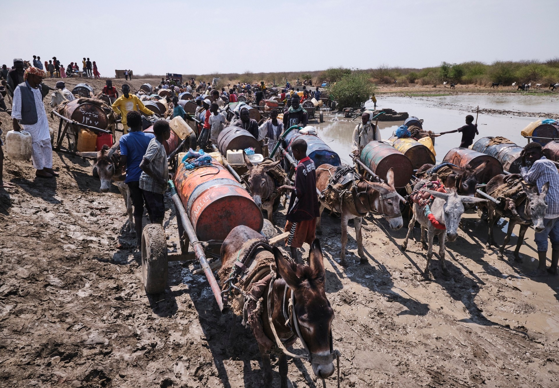 Gunmen kill dozens in South Sudan cattle camp raid