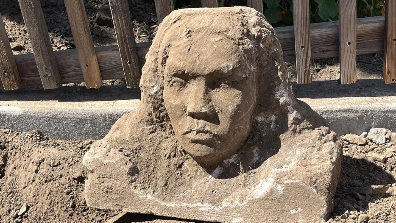 Mystery Sculpture Unearthed in San Francisco Garden Stumps Experts