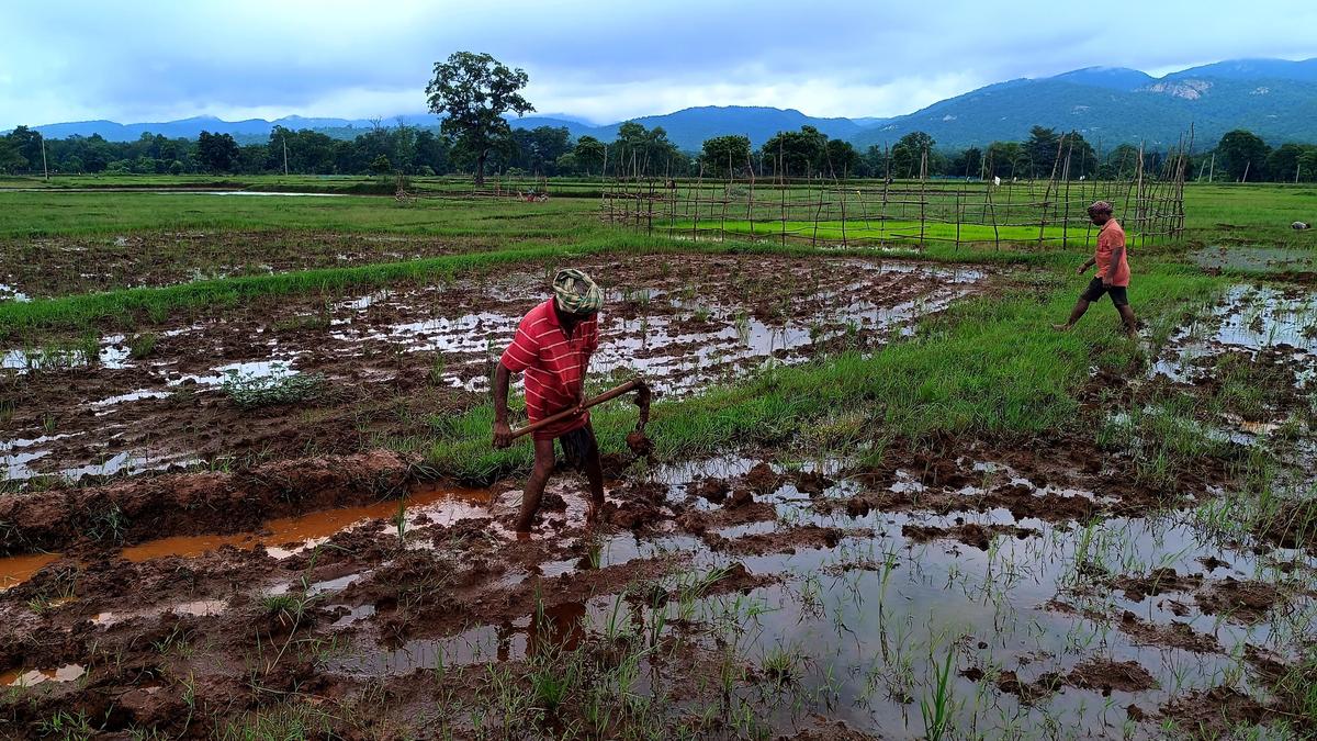 New mining law raises concerns over state autonomy in mineral-rich India