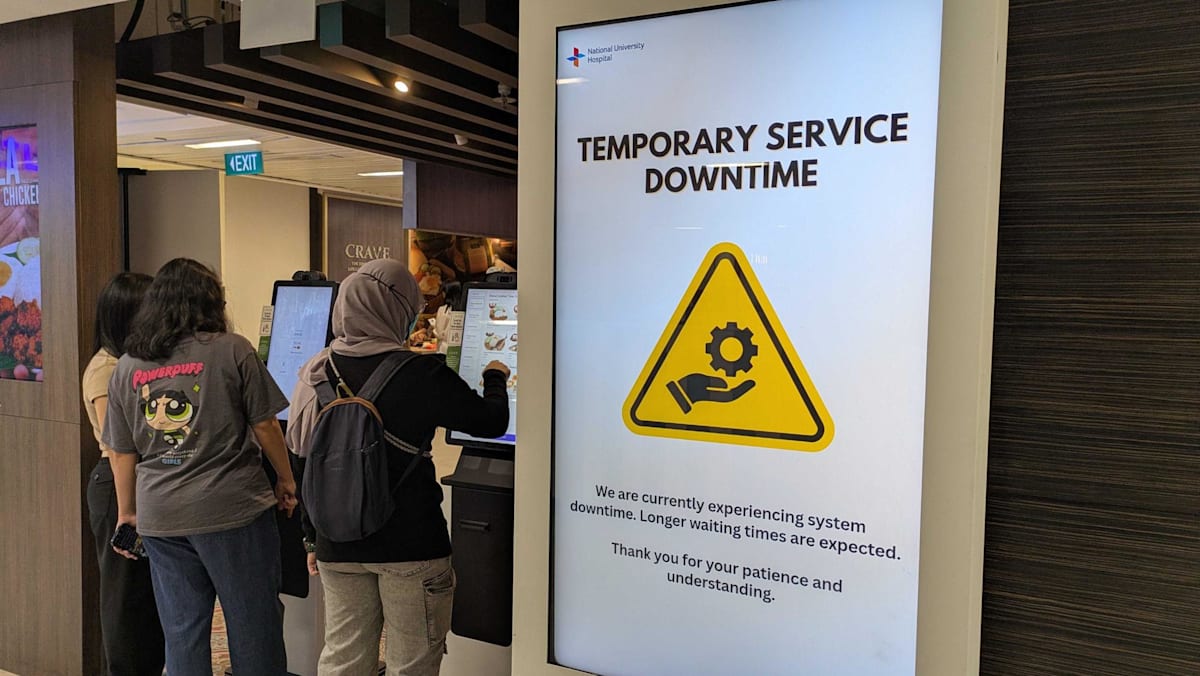 Singapore's public hospitals grapple with widespread system disruptions