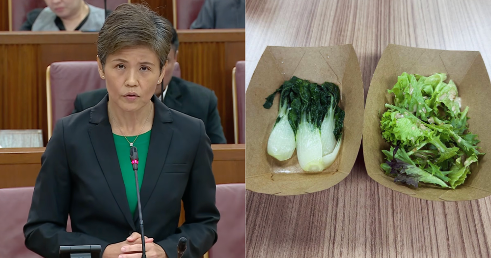 Singapore MP urges greater investment in local food production capacity