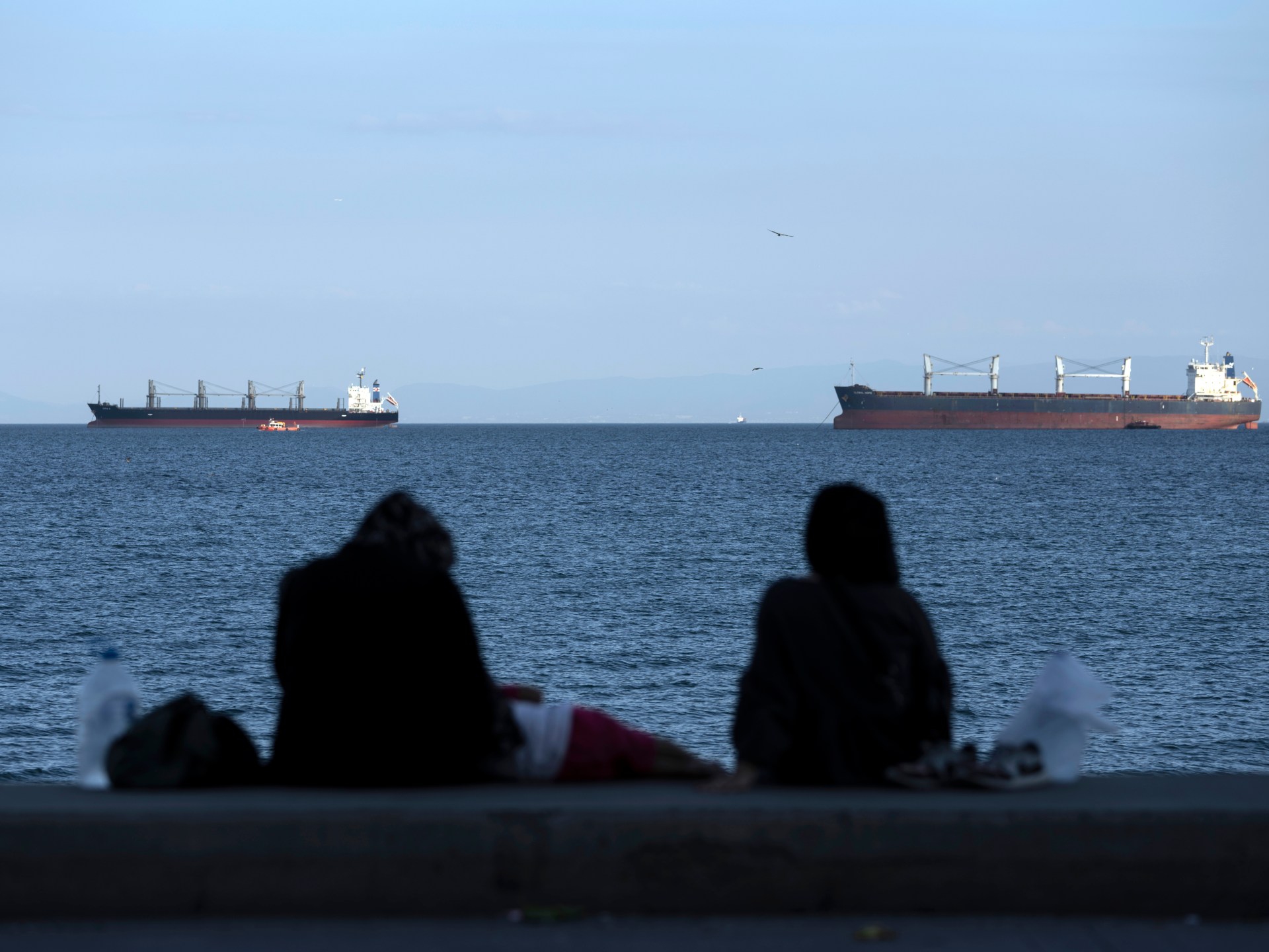 Turkish authorities launch search for cargo vessel after Istanbul collision