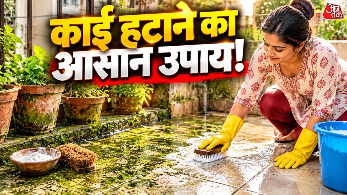 Budget-Friendly Powder Solution Tackles Post-Monsoon Moss and Algae Buildup