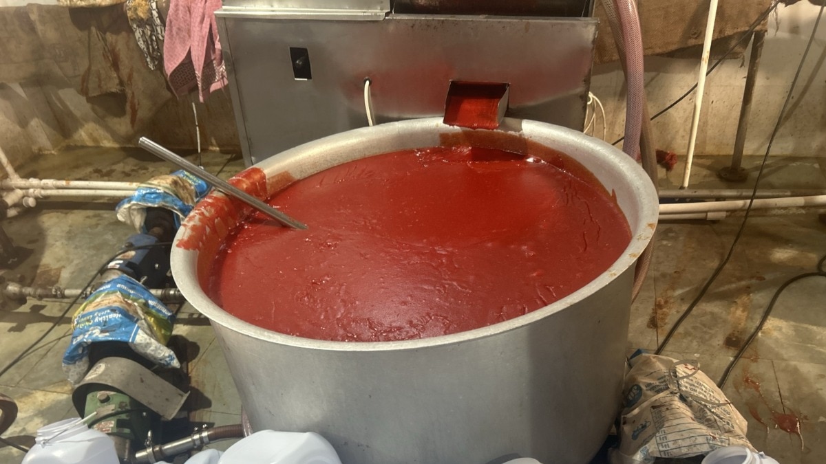 Gujarat food factory sealed over adulteration in tomato ketchup production