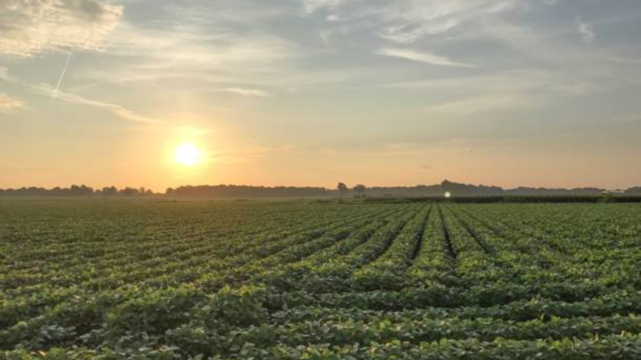 Arkansas court upholds $3 million award in 11-year land dispute