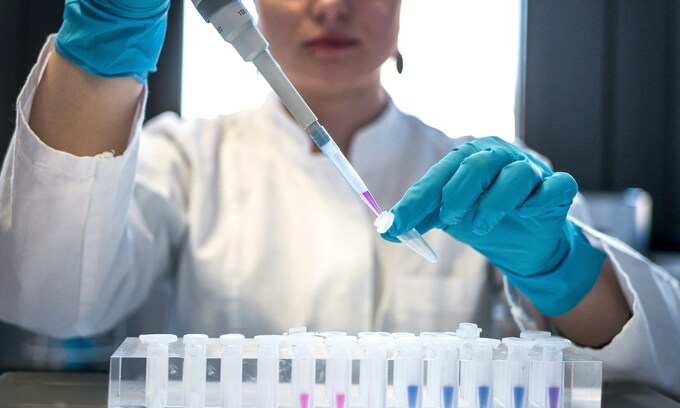 China offers 15-year research grants to retain young scientists