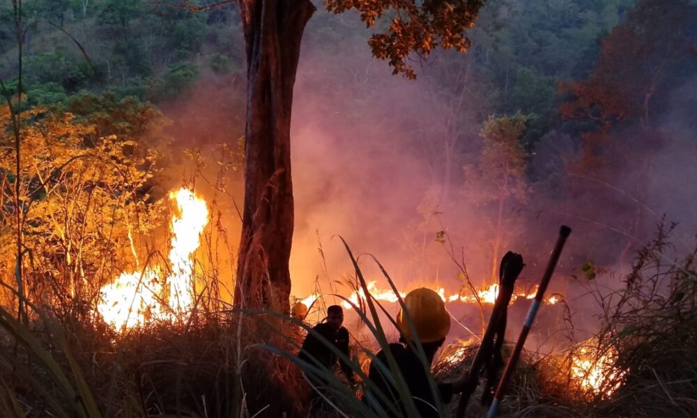 Army personnel bring Nittamaluwa Mountain wildfire under control
