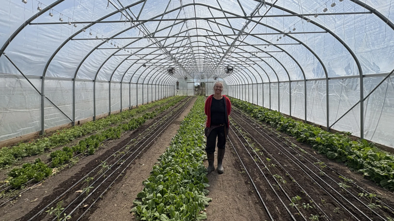 From Financial Ruin to Agricultural Success: Couple Builds Thriving Farm Business