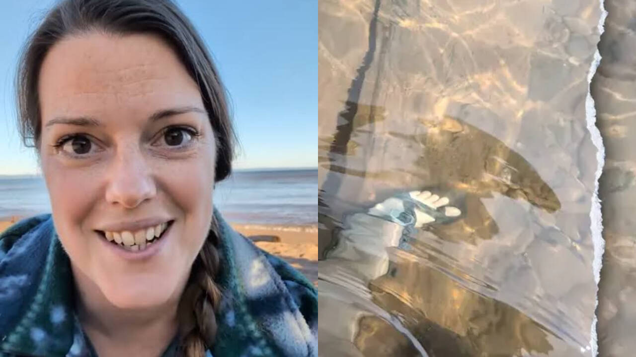 Century-old tugboat discovered on Lake Superior floor by mother-son team