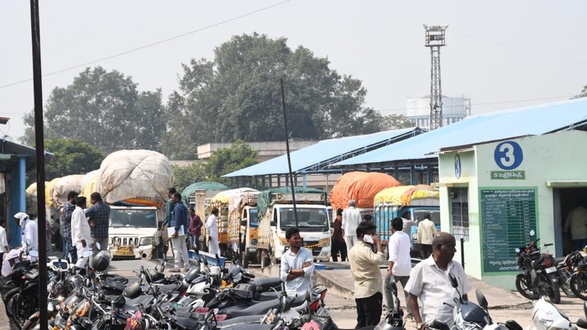 Cotton prices surge to record high in Telangana, outpacing government MSP