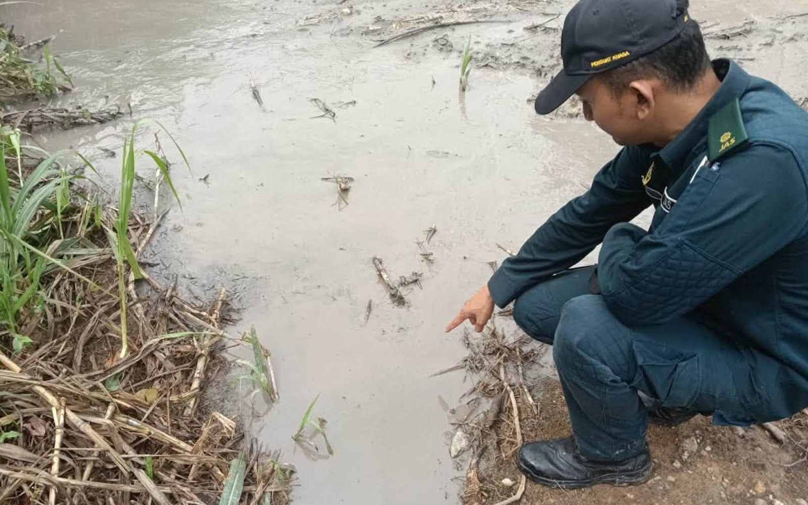 Kerja kabel penyebab Sungai Kim Kim berubah putih, kata exco
