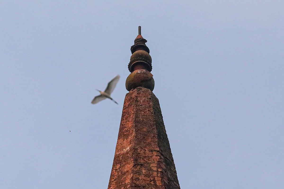 আরাকুল মঠে পক্ষীদের জন্য নতুন আশ্রয়কেন্দ্র প্রতিষ্ঠিত হয়েছে
