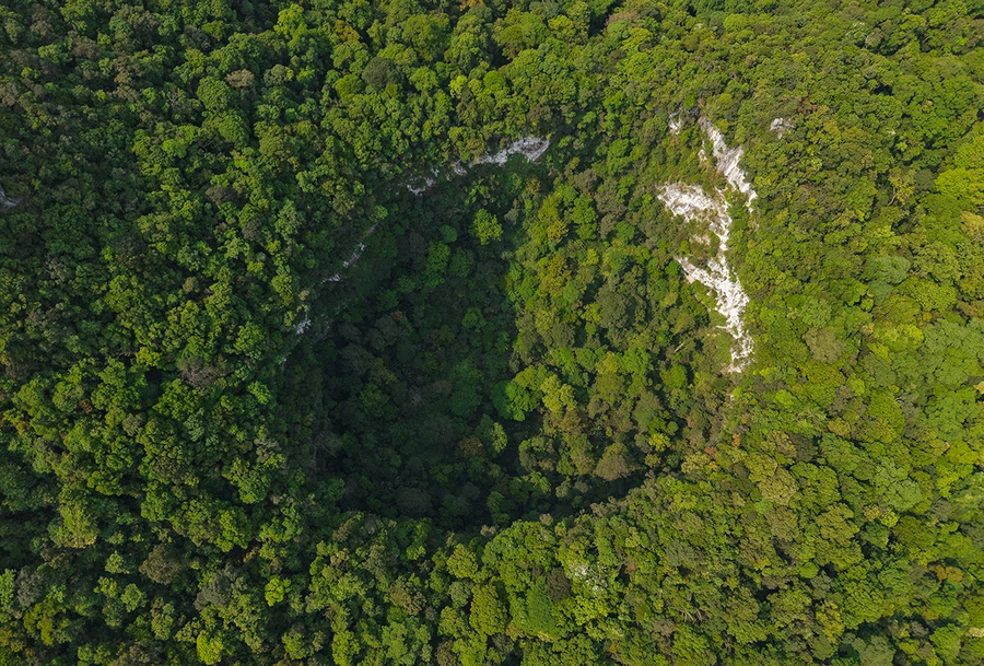 Massive sinkhole with ancient forest discovered in central Vietnam