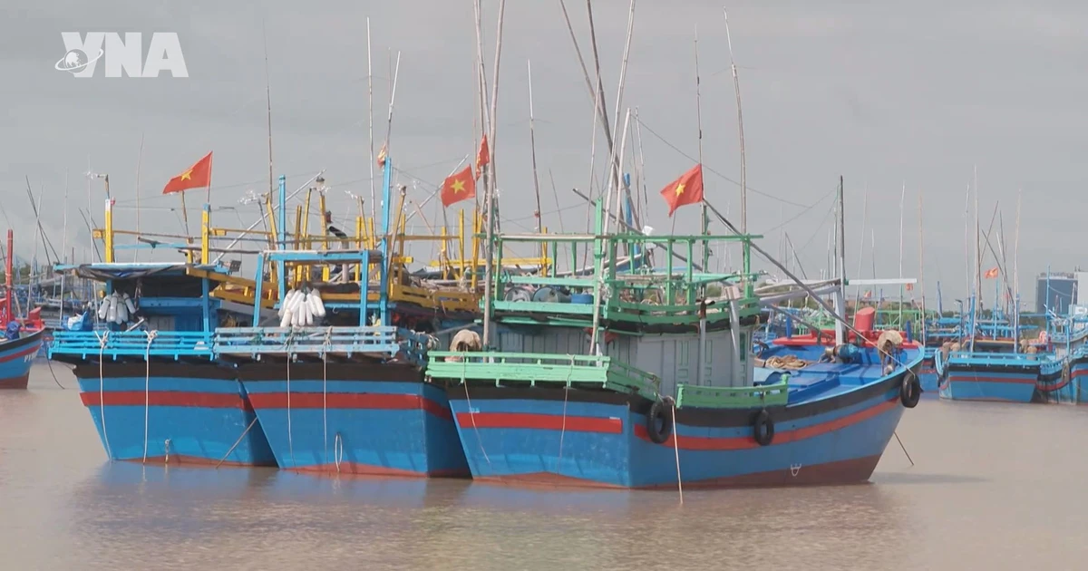 Dak Lak fishermen bolster safety protocols for offshore operations