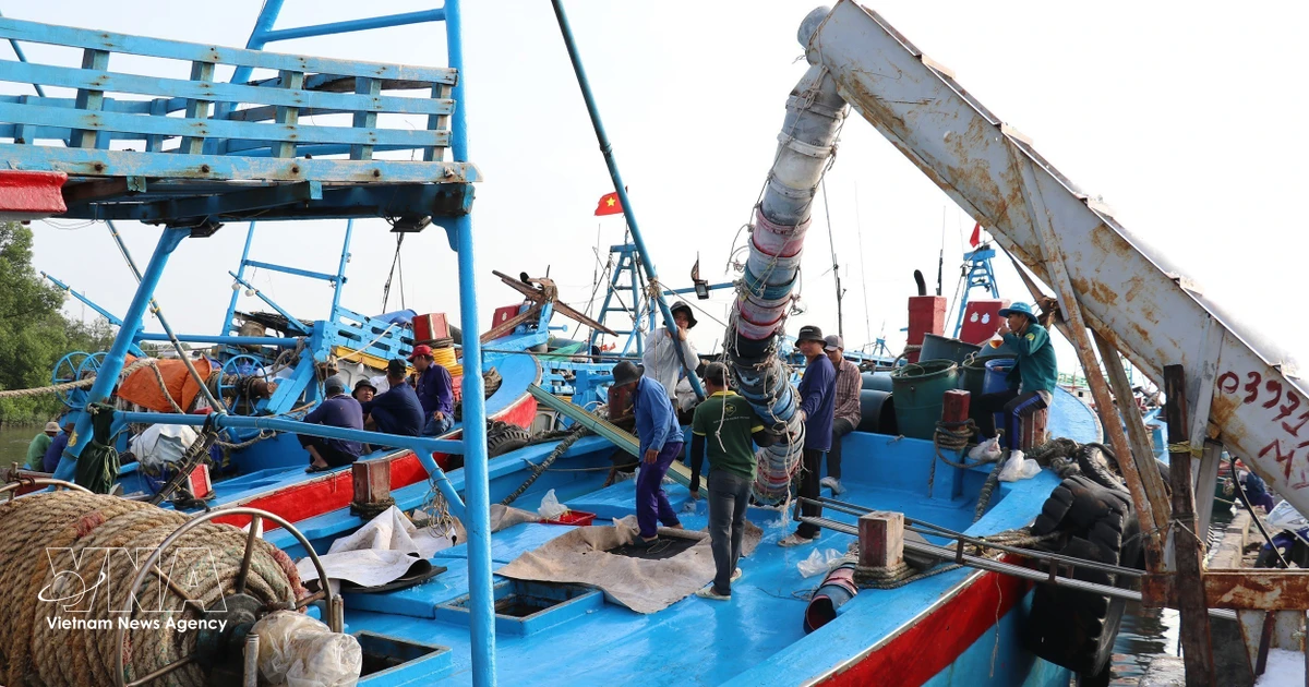Dong Thap province tightens fishing vessel oversight to combat illegal operations