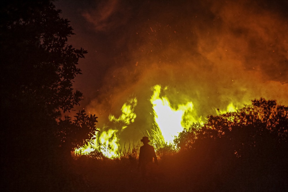 Lukisan gua tertua di dunia di Indonesia terancam kebakaran hutan