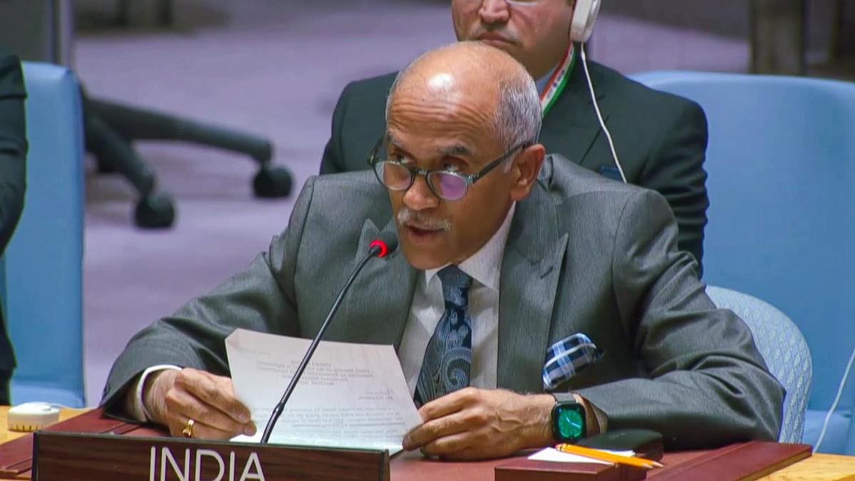 India urges UN Security Council to protect vital maritime trade routes