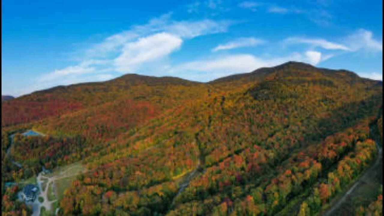 Vermont expands wildlife management area with timber rights acquisition